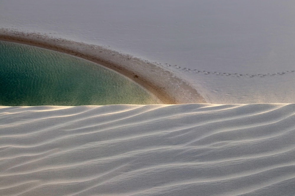 a bird flying over a sandy beach next to a wave