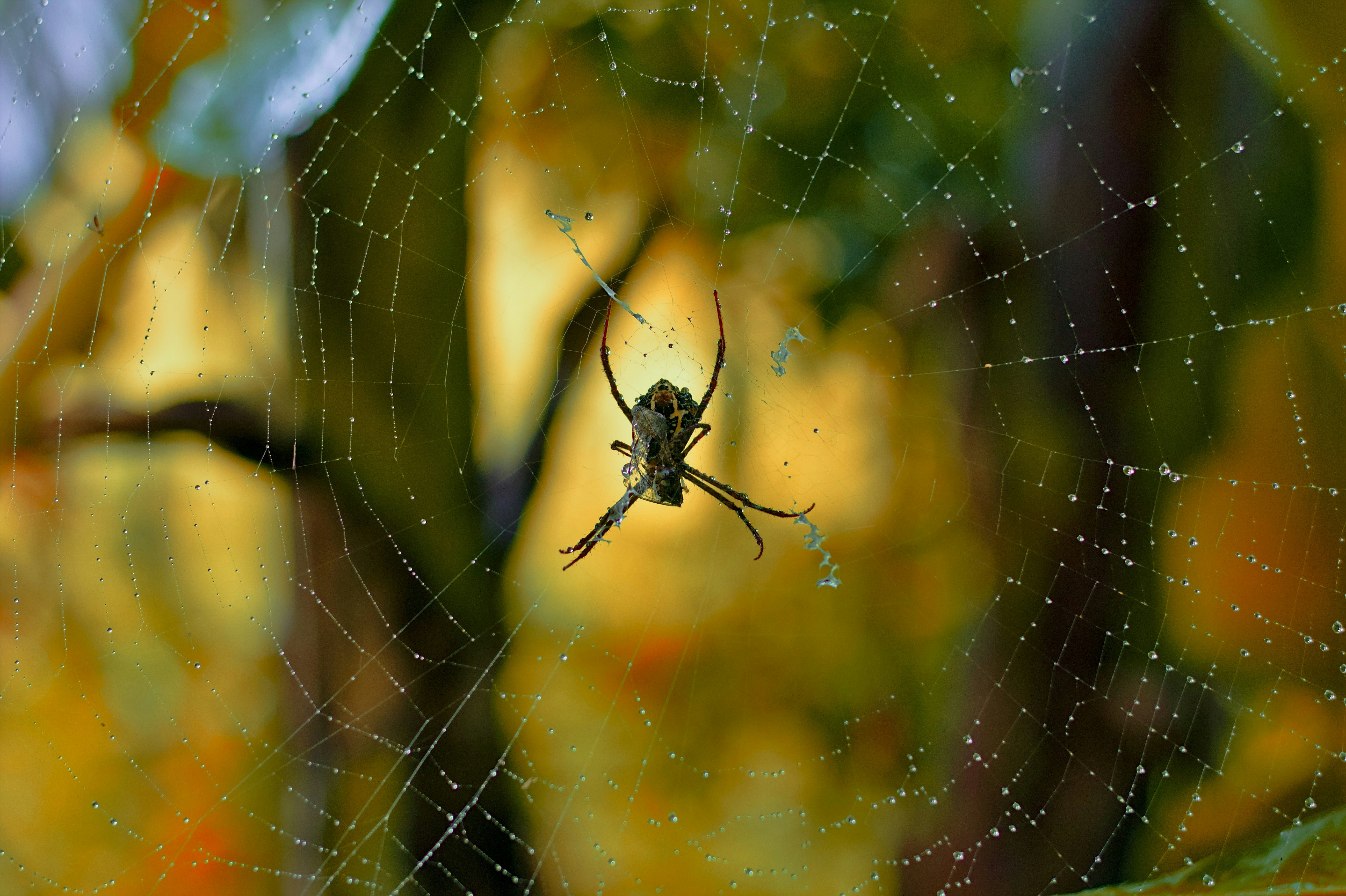 The Appetite That Saves Your Sanity (image credits: unsplash)