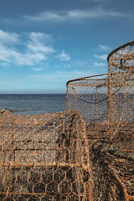 Rusted wire cages are stacked near a rocky shoreline, with the ocean and a clear blue sky visible in the background. The cages are made of metal mesh and have a weathered, corroded appearance.