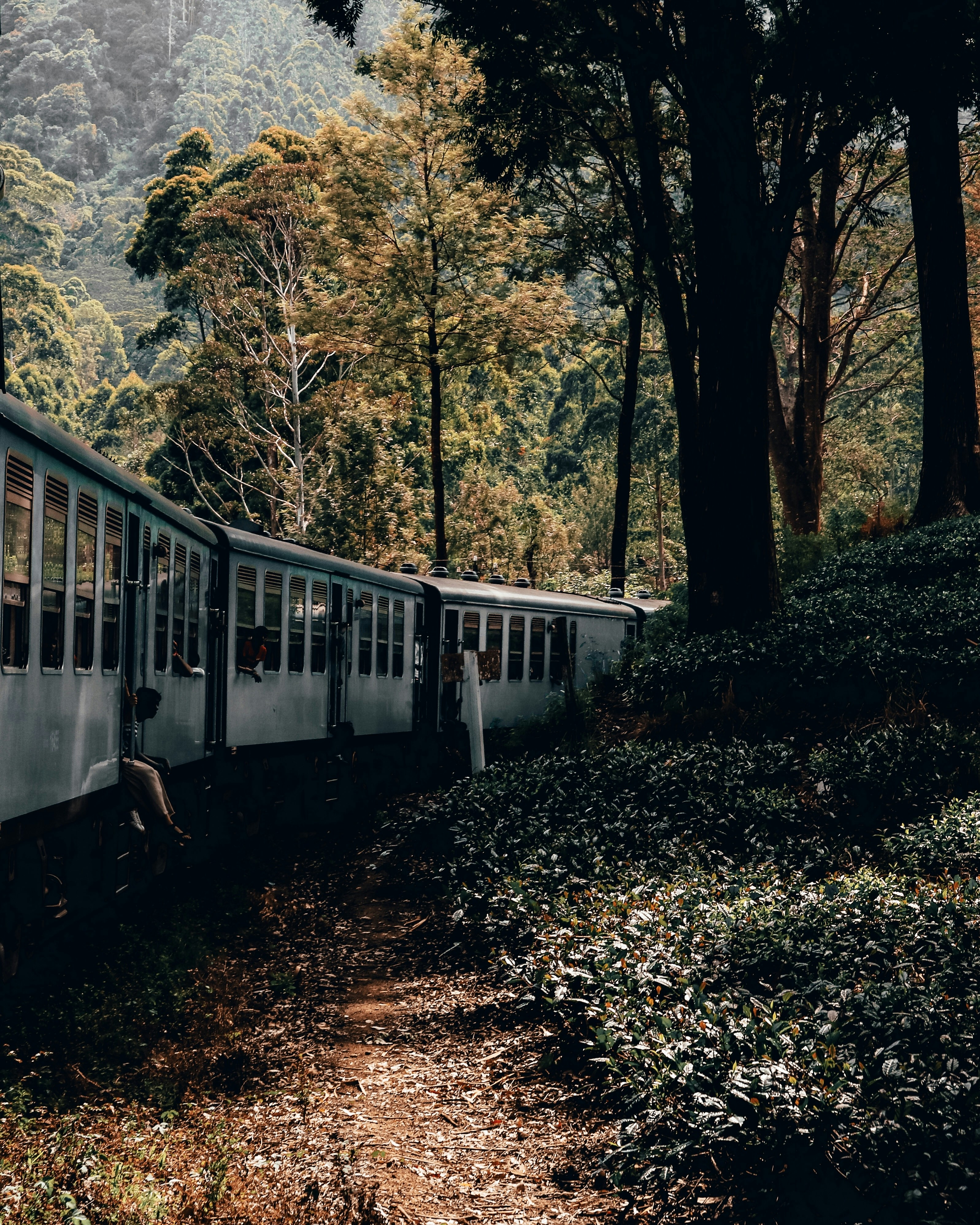 Scenic train ride in Srilanka