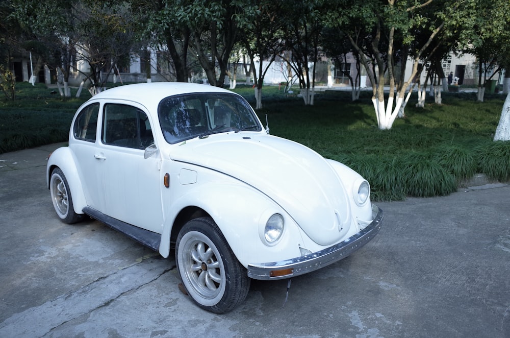 white Volkswagen Beetle parked near trees