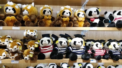 Multiple rows of plush toy pandas and red pandas are arranged neatly on wooden shelves. The toys wear various accessories, like graduation caps and striped shirts. The scene features a mix of brown and white colors, along with black and white on the panda toys.
