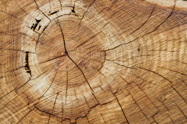 American Wood