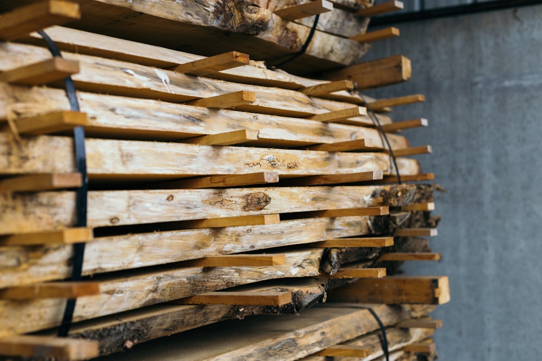 pile of woods,