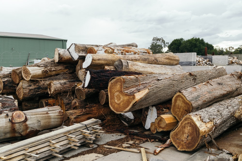 brown log lot during daytime