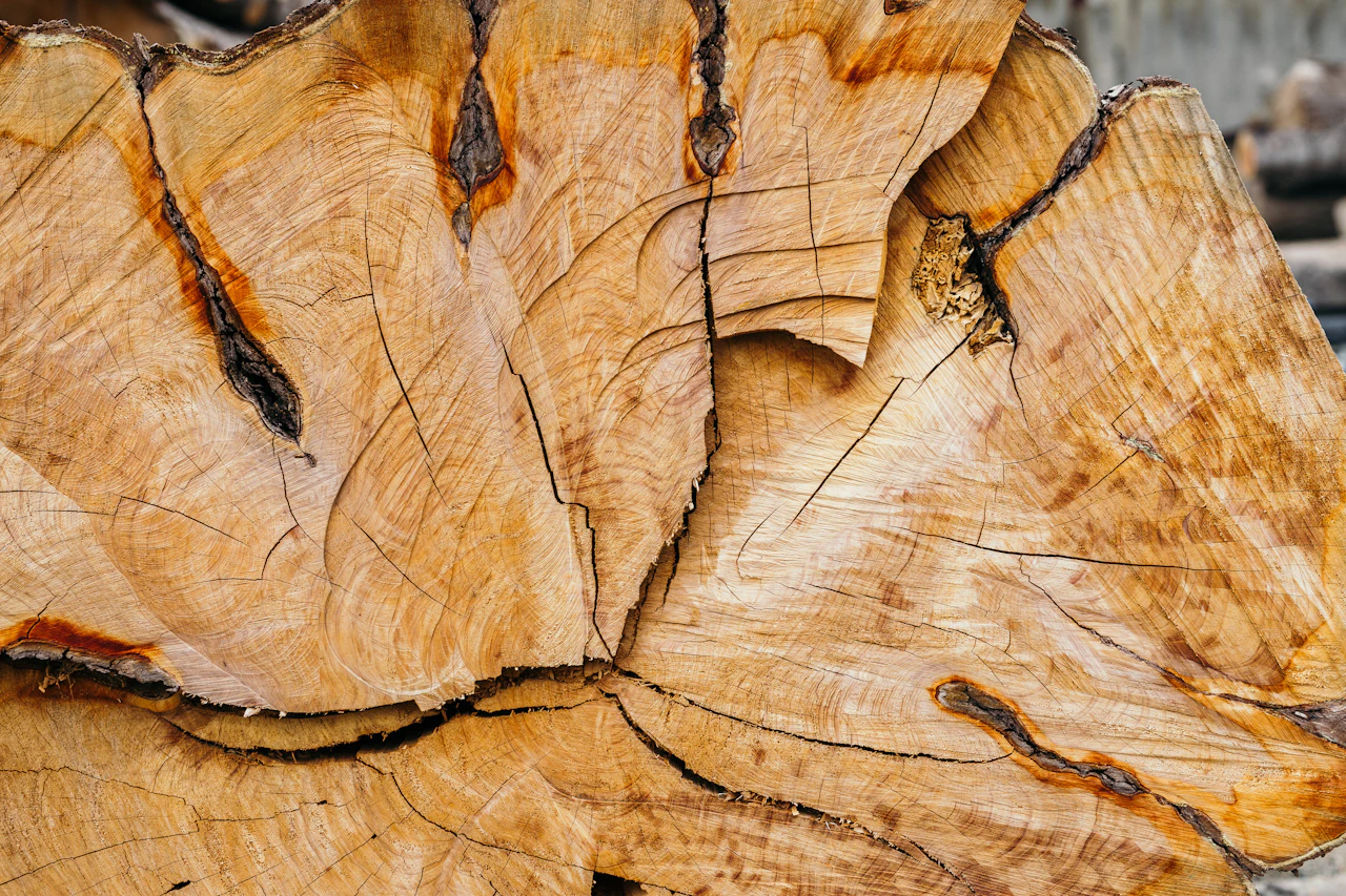 Close-up of a sawn timber block
