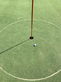 A young child practicing putting on a mini golf green with colorful flags.