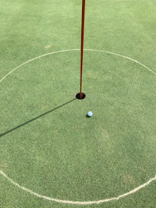 A young child practicing putting on a mini golf green with colorful flags.