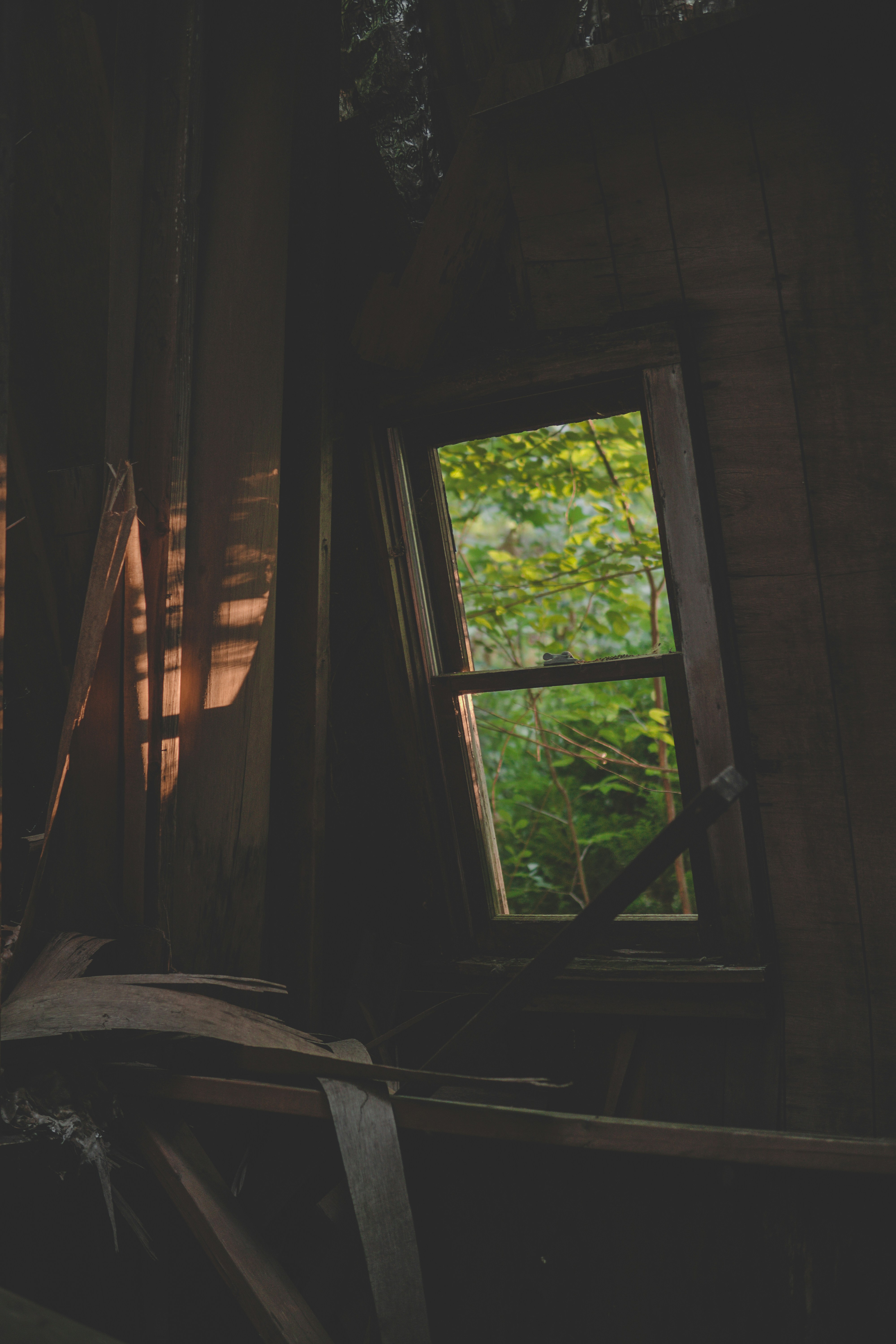 Photo by directedbyshawn