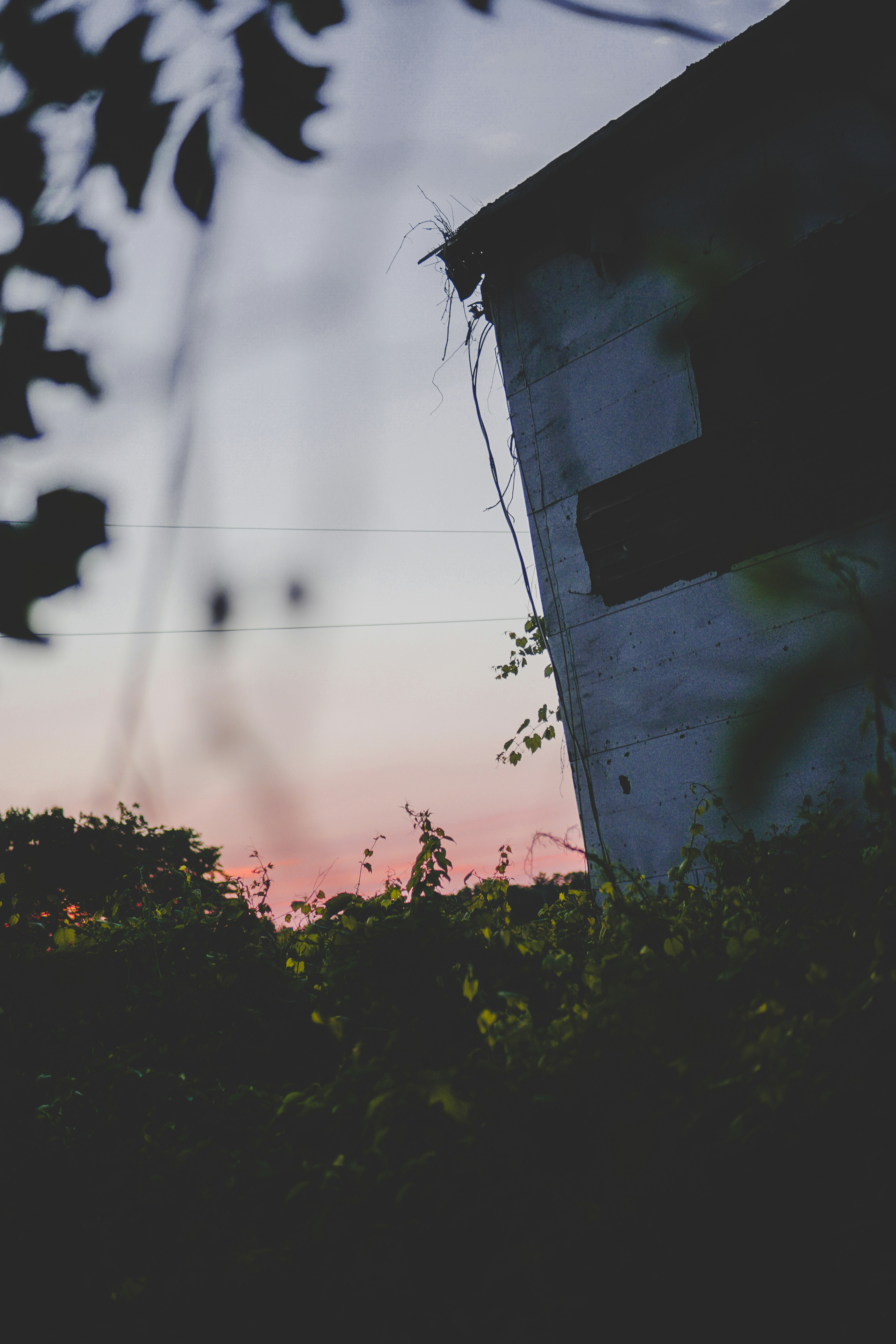 Photo by directedbyshawn