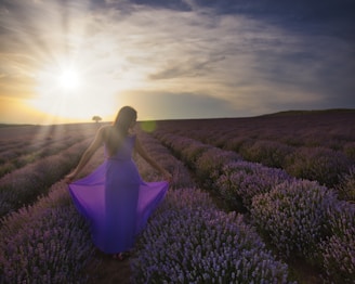 women standing in purple flower plant lot during daytime