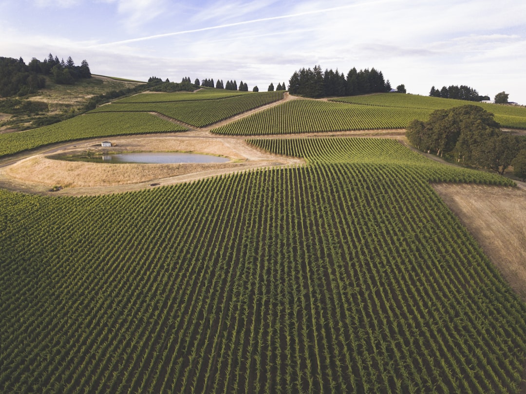 7 Hidden Gem Wineries in Oregon's