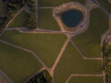 an aerial view of a road and a lake