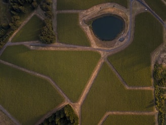 an aerial view of a road and a lake