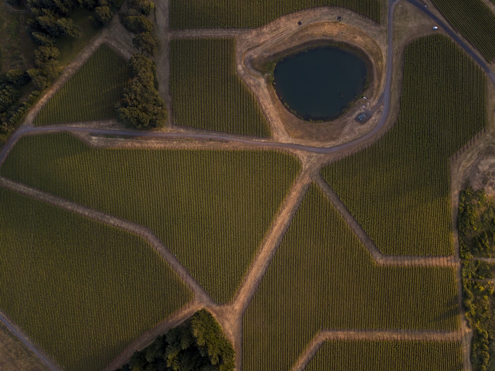 Vista aérea de uma estrada e de um lago