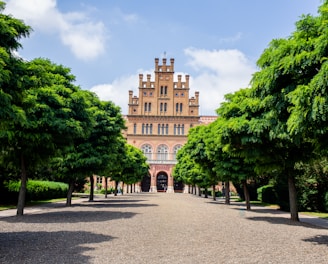 a large building surrounded by trees on a sunny day