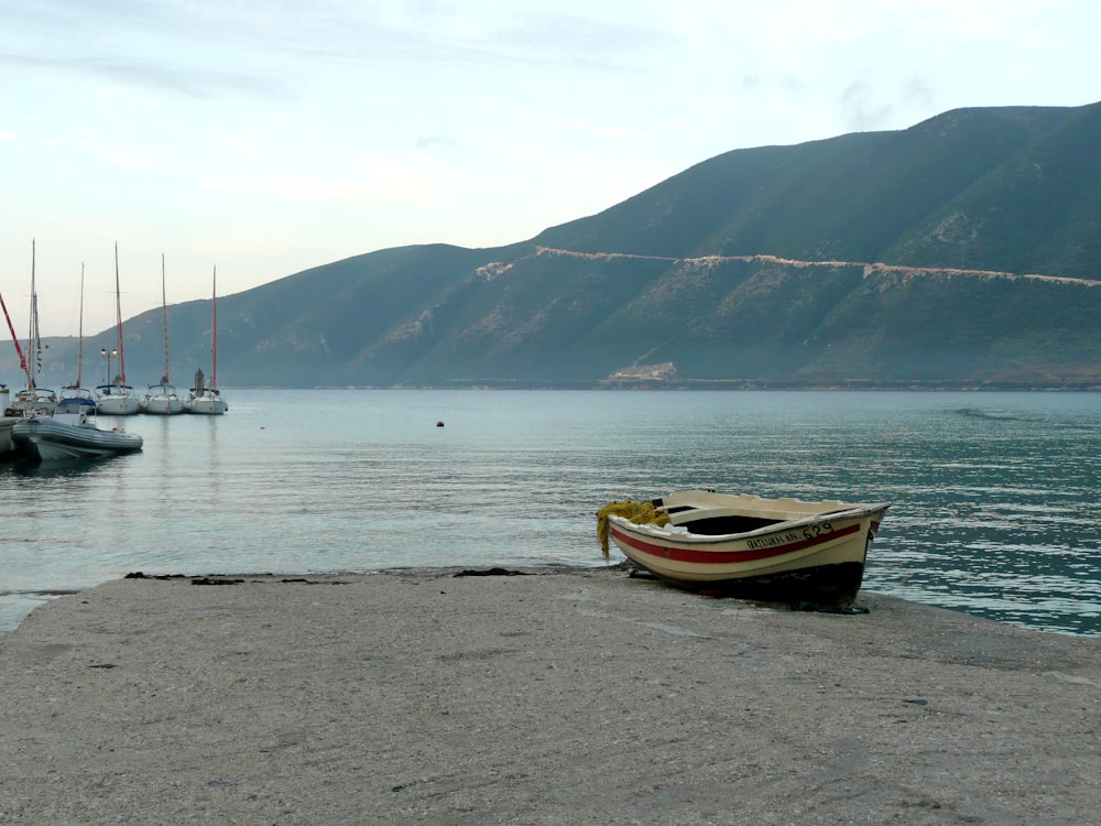 white, red, and black boat on shore near body of water