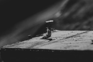 Close-up of a specific roofing nail showcasing its features.