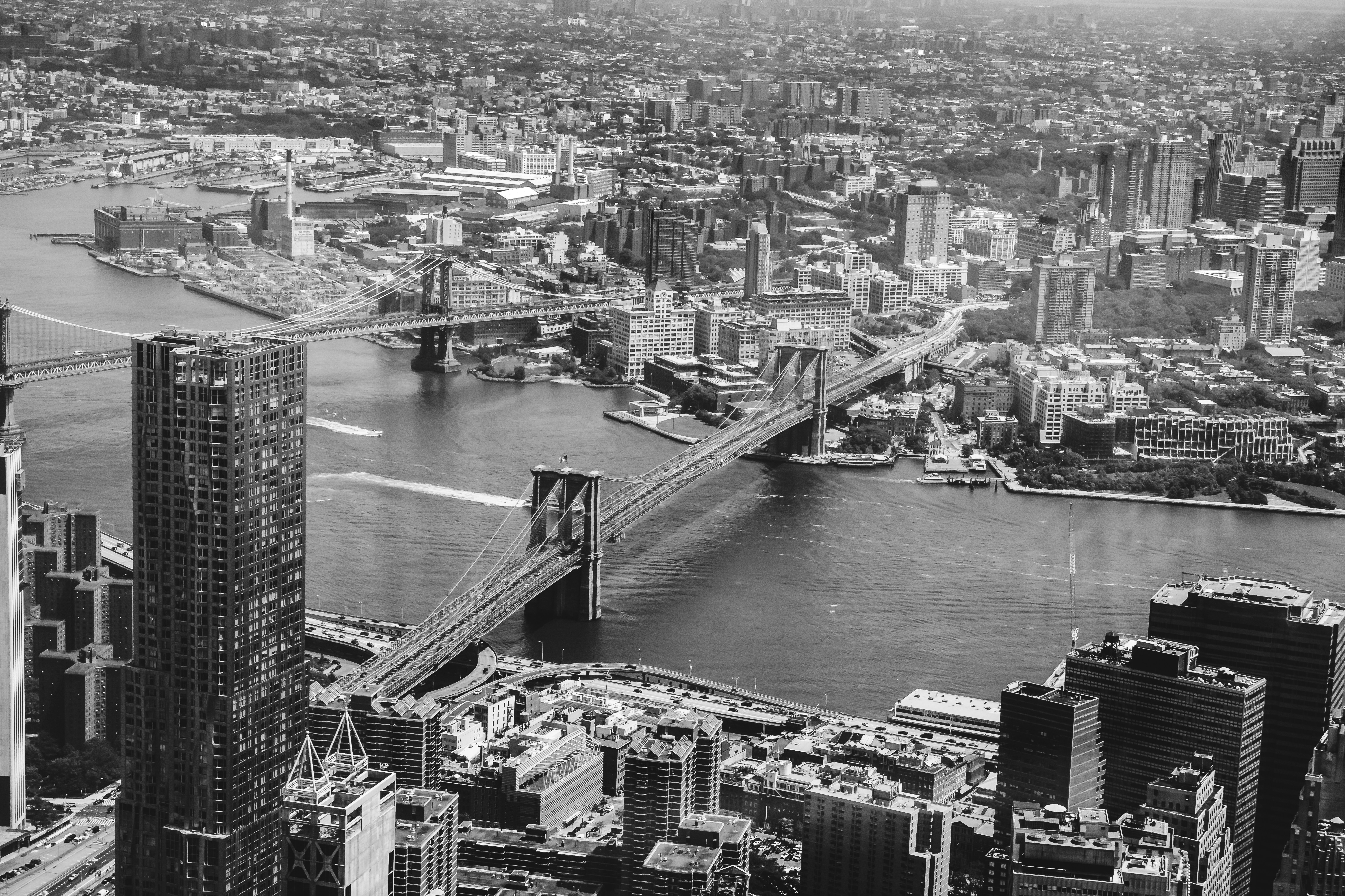 Photo by dame_visuals