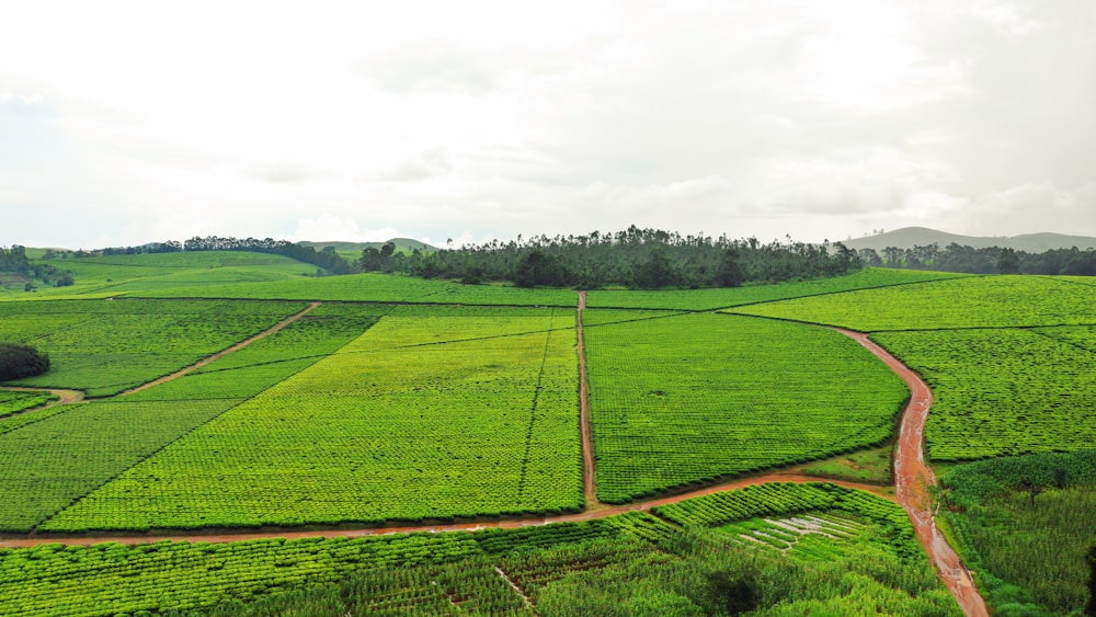 green field under white clouds