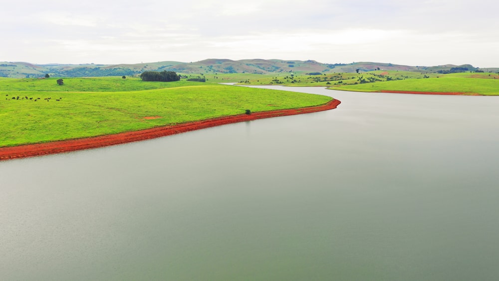 green field beside body of water