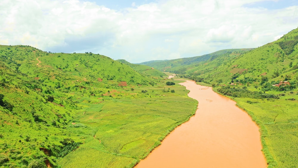 river between forest at daytime