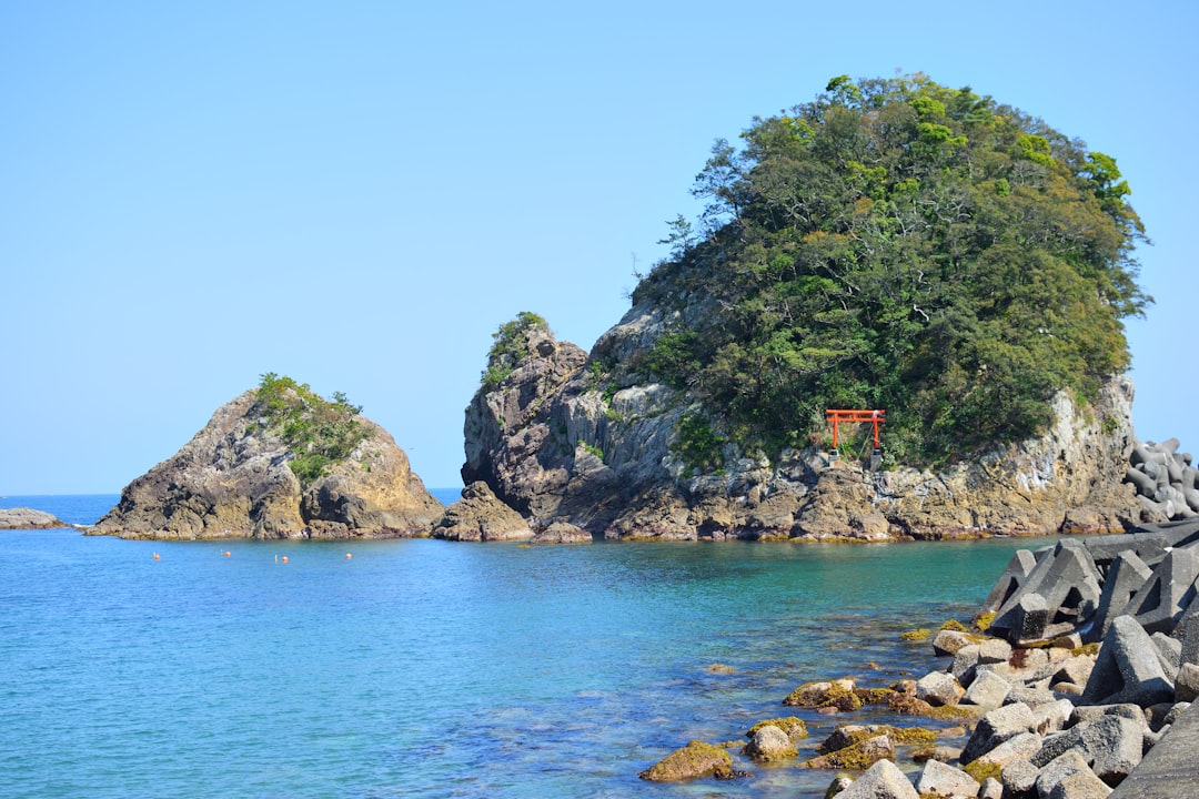 islet surrounded with trees,
