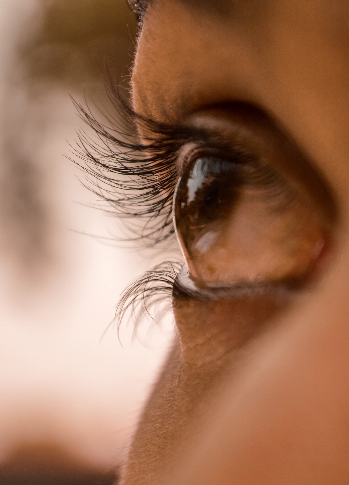 Lash Affair
