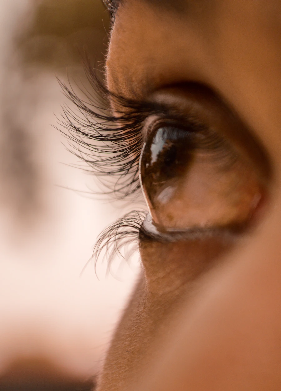 Lash Affair