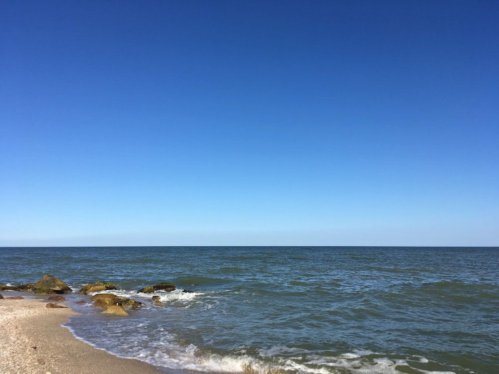 seashore at daytime