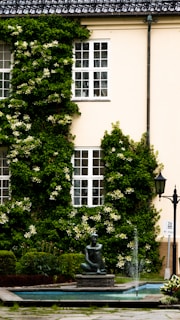 A tranquil courtyard features a beige building with windows framed by lush, green ivy and white flowers. A black metal street lamp stands beside a signpost. In the foreground, a small rectangular pool with a water fountain includes a statue of a seated person.