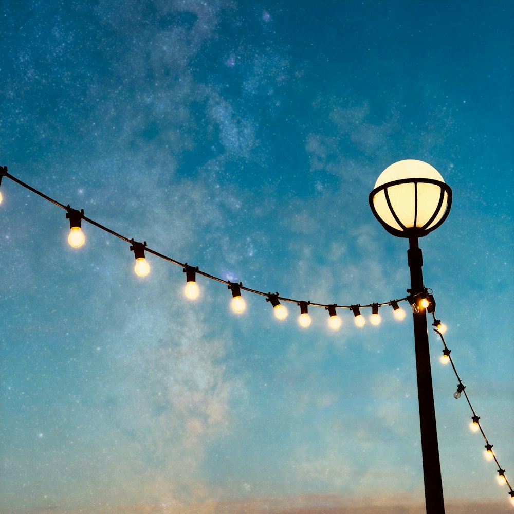 light-on bulb string light during nighttime