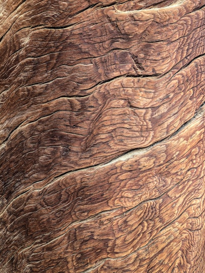brown tree bark