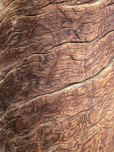 brown tree bark
