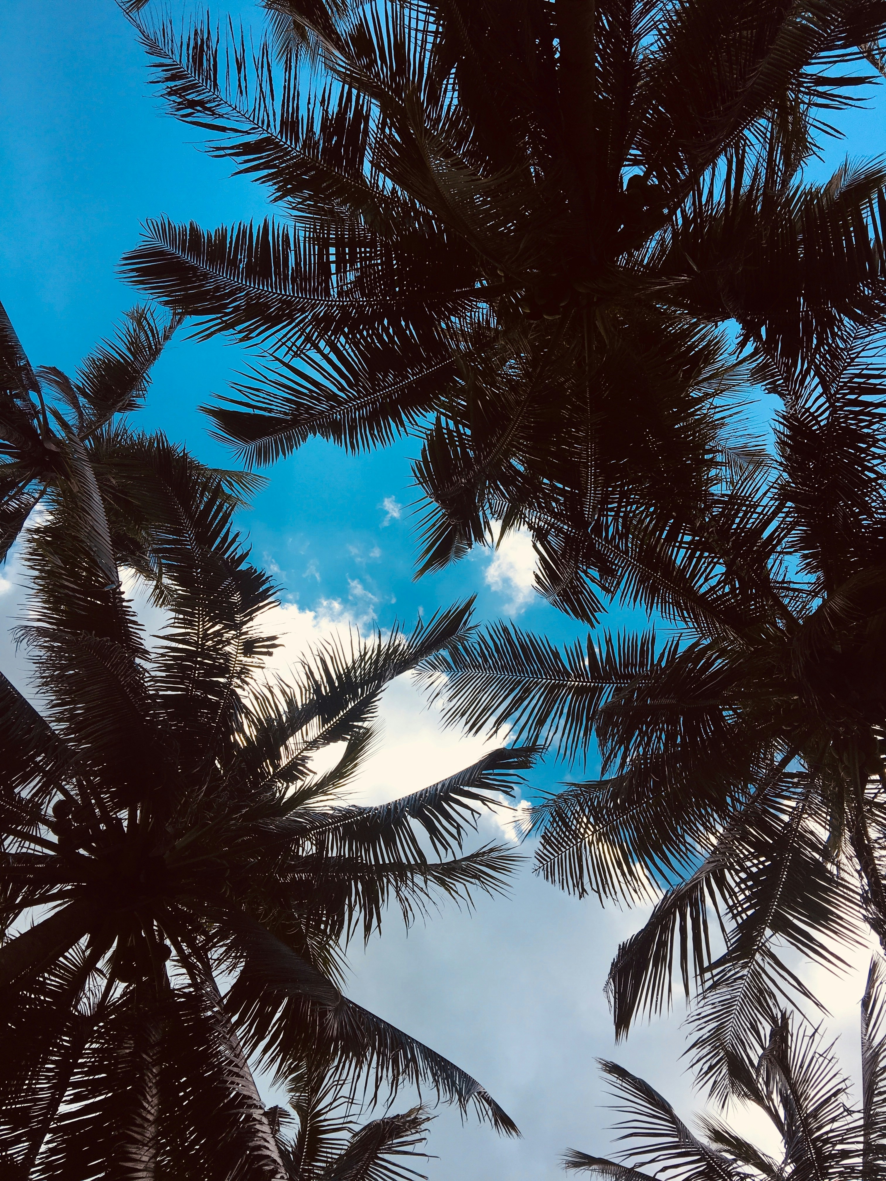 Photo by arjohnjanroe