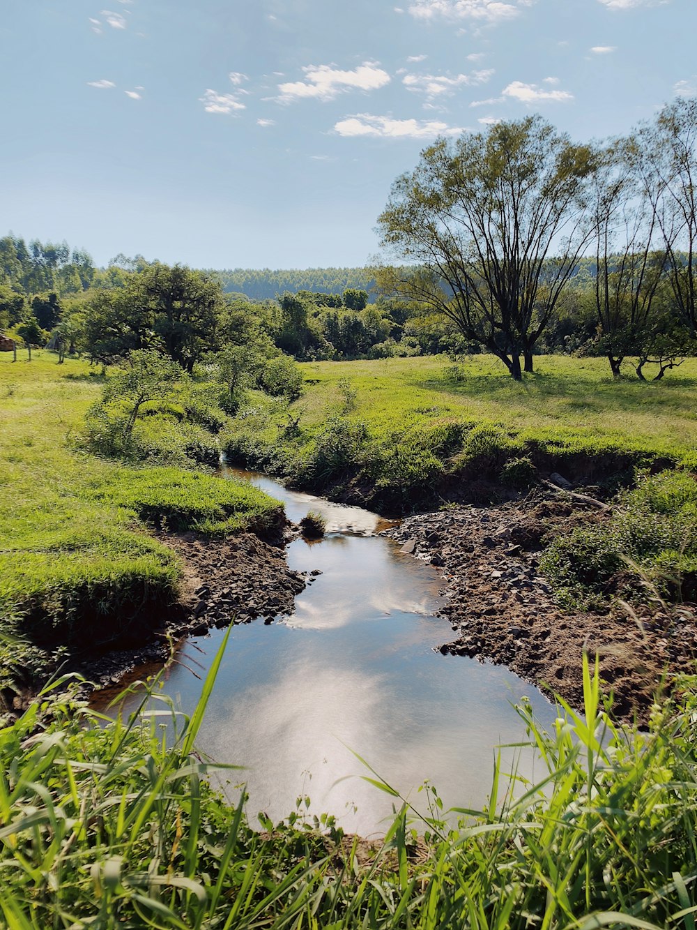 body of water surrounded with grass field