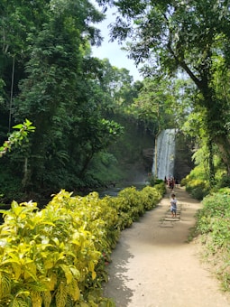 A lush green forest scene features a winding path bordered by vibrant yellow and green foliage. A waterfall cascades in the distance, surrounded by dense trees. A few people are visible, with one child walking on the path toward the camera.