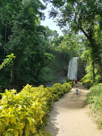A lush green forest scene features a winding path bordered by vibrant yellow and green foliage. A waterfall cascades in the distance, surrounded by dense trees. A few people are visible, with one child walking on the path toward the camera.