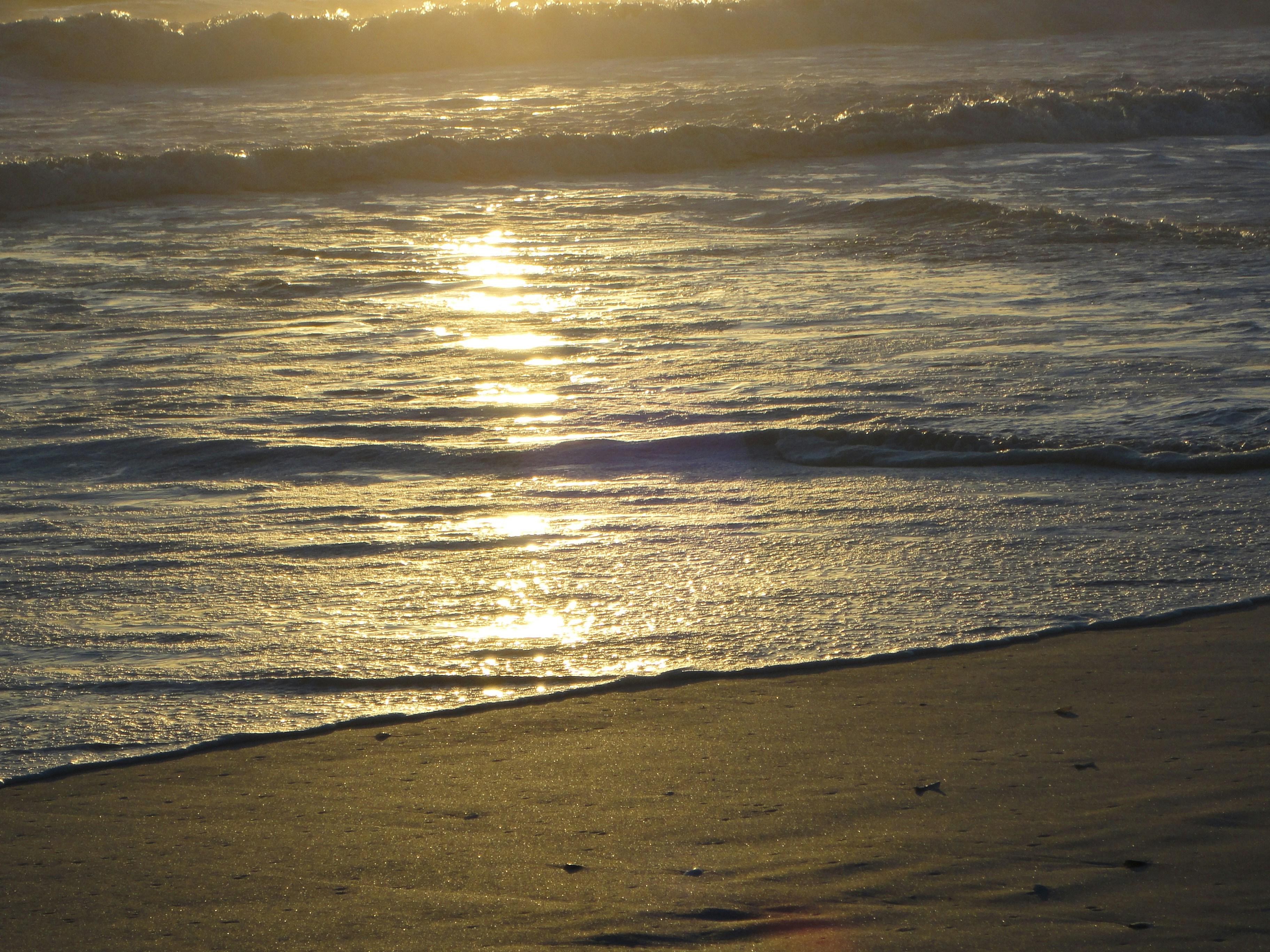 Photo by theancientpath