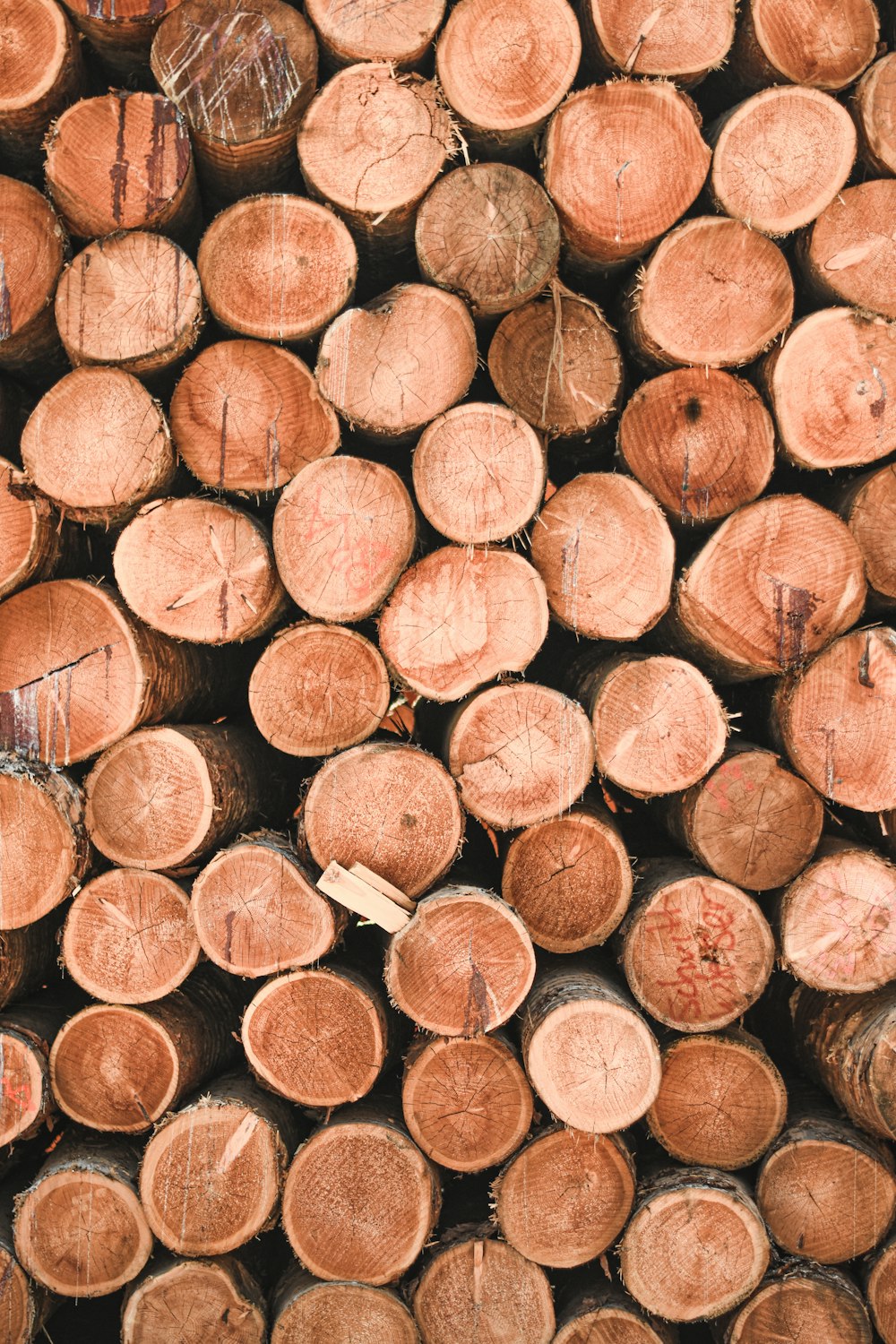 pile of brown logs