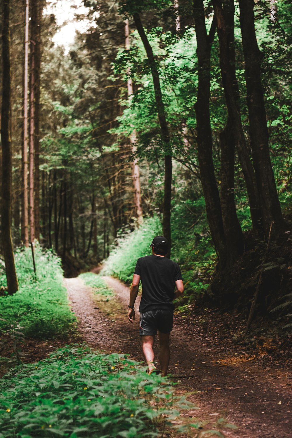 man walking through forest