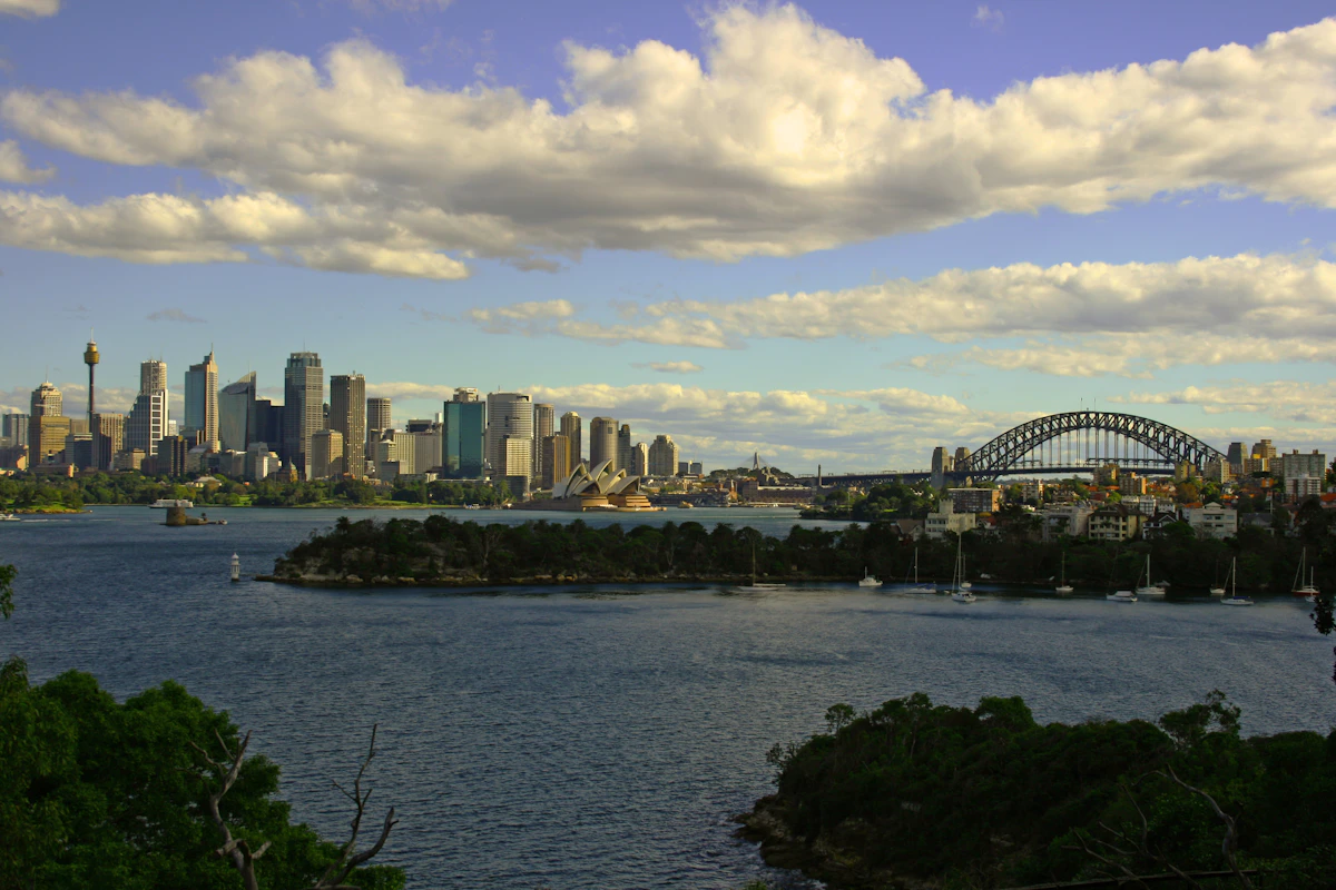 Sydney Opera House and Harbour Bridge seen across the harbour from a tree-lined north-shore headland
