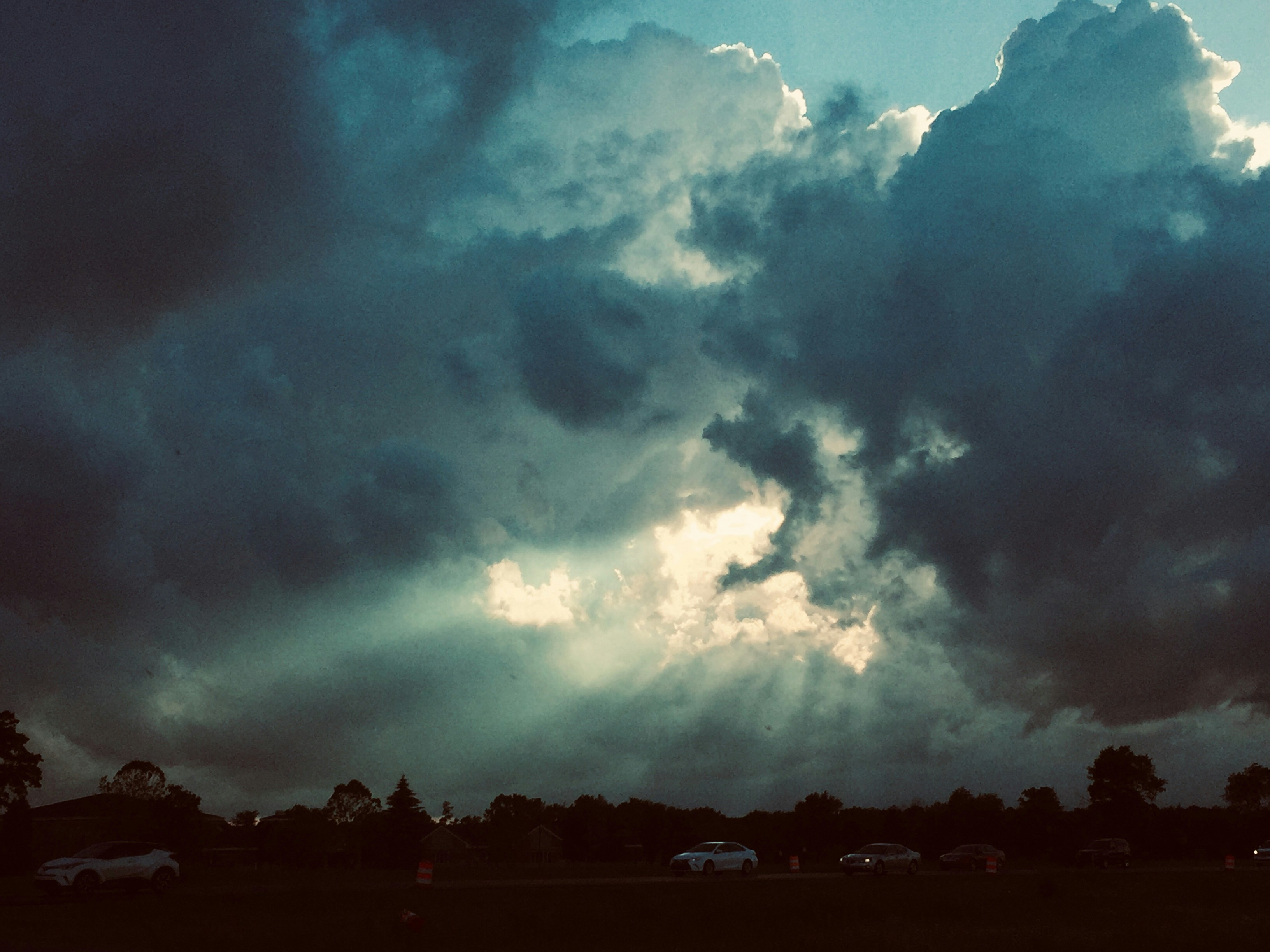 Photo by niftyartofficial1_