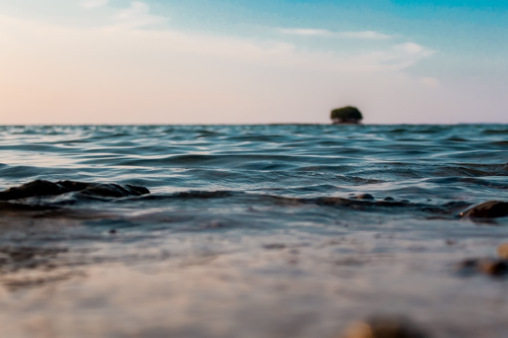 low angle view photography of seashore