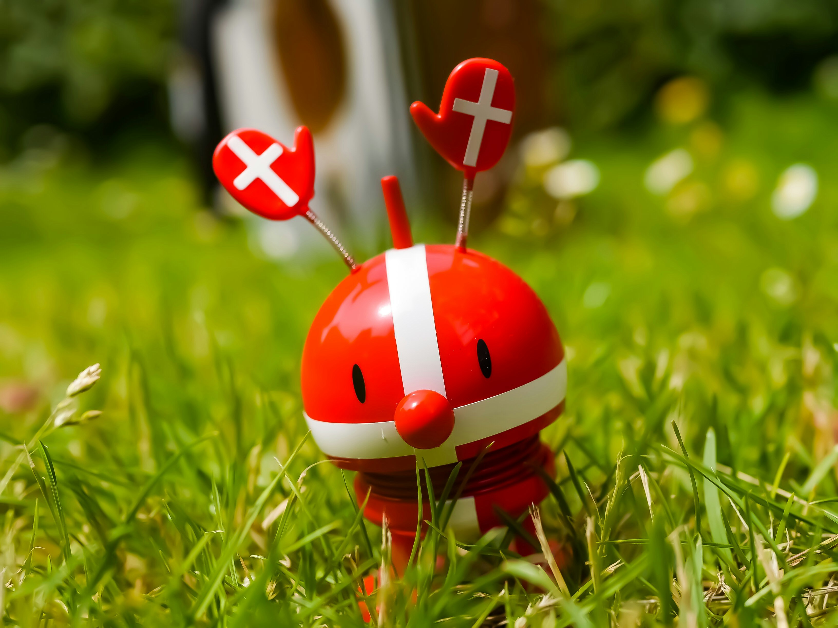 Définition de dansk Dictionnaire français