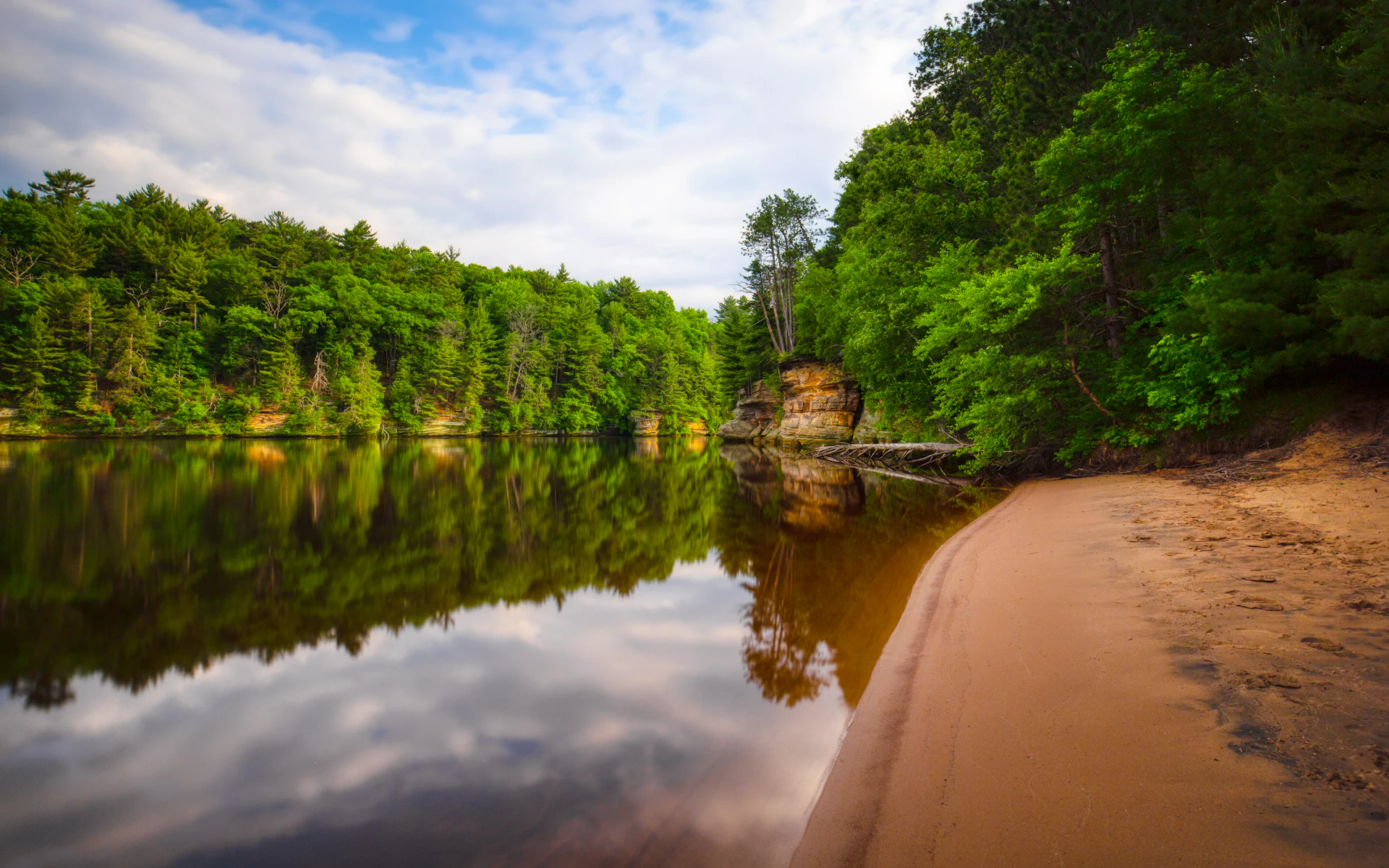 trees near lake