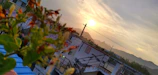 A vibrant sunset casting warm hues over a rooftop filled with flowering plants