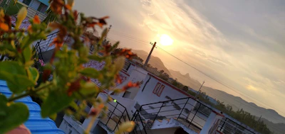 A vibrant sunset casting warm hues over a rooftop filled with flowering plants