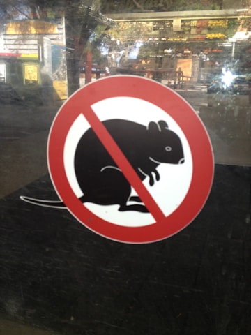 A no-rat symbol is prominently displayed. This sign features a silhouette of a rat with a red circle and a diagonal line across it, indicating prohibition. The background appears to be transparent glass, revealing a blurry view of a store or market environment with various items such as fruits and shelves.