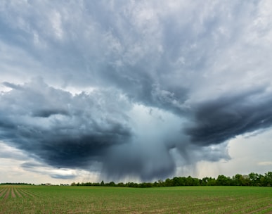 microburst thunderstorm